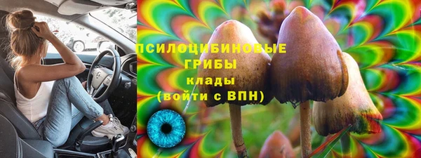 стаф Абаза